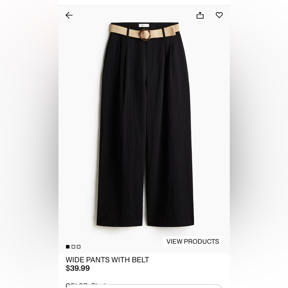 H and M Elegant Black Wide-Leg Pants with Belt